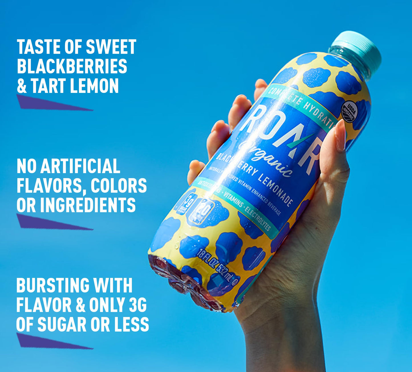 Roar Complete Hydration Organic - Electrolyte Drinks Loaded with Vitamins C, B5, B12 - Non-GMO, Gluten-Free - Dragonfruit Punch - 12 pc