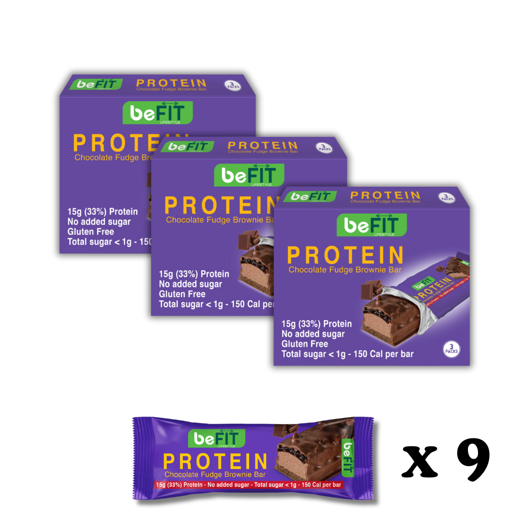 Chocolate Brownie Fudge Protein Cake Bar Bundle - Pack Of 3 (9 Bars)