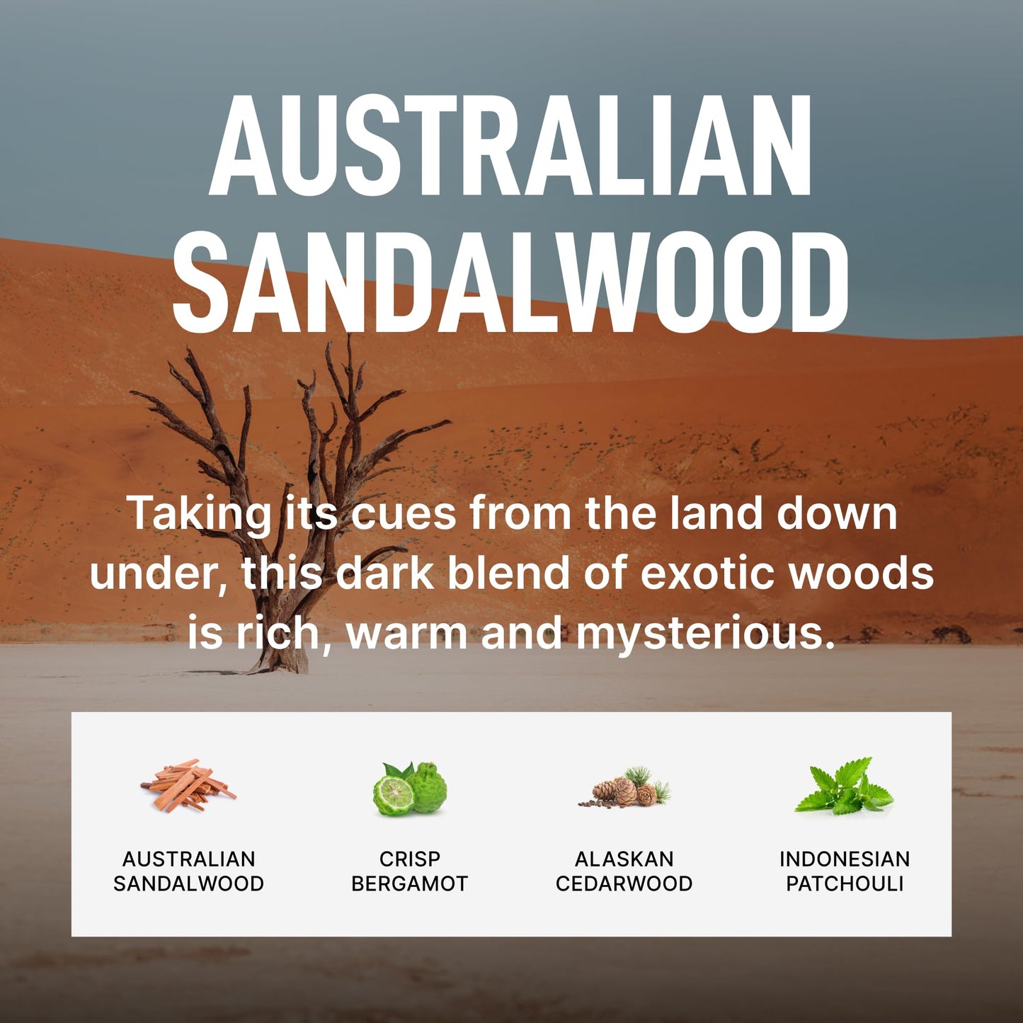 Laundry Sauce Detergent & Scent Booster Bundle – Australian Sandalwood Pods, Dye-Free & HE Compatible