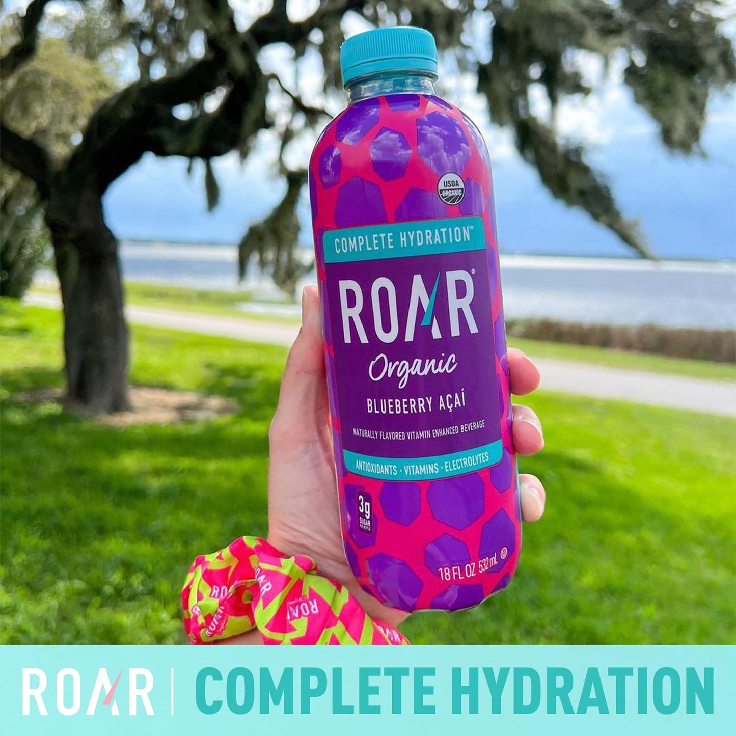 Roar Complete Hydration Organic - Electrolyte Drinks Loaded with Vitamins C, B5, B12 - Non-GMO, Gluten-Free - Dragonfruit Punch - 12 pc